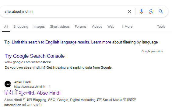 site-indexing-results-google